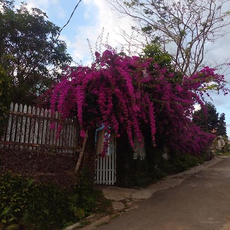 Ly'S Homestay Gia Nghia Dış mekan fotoğraf