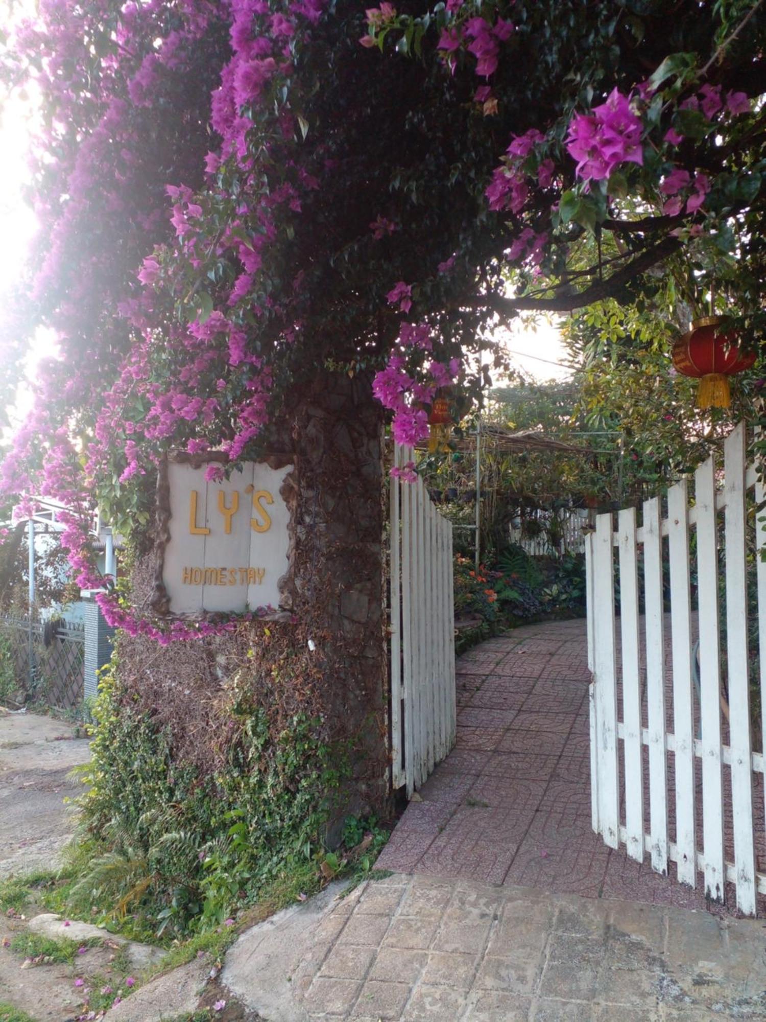 Ly'S Homestay Gia Nghia Dış mekan fotoğraf